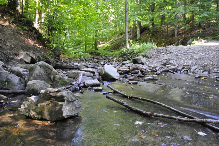 Podsumowanie wycieczki w Bieszczady