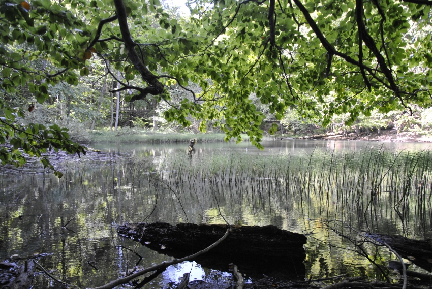 Podsumowanie wycieczki w Bieszczady