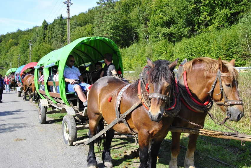 Podsumowanie wycieczki w Bieszczady